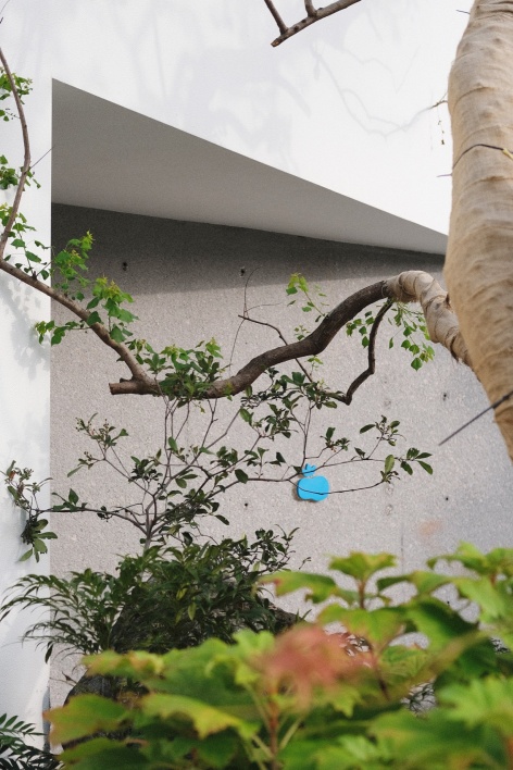 入口庭院与屋檐 / Entrance garden and eaves