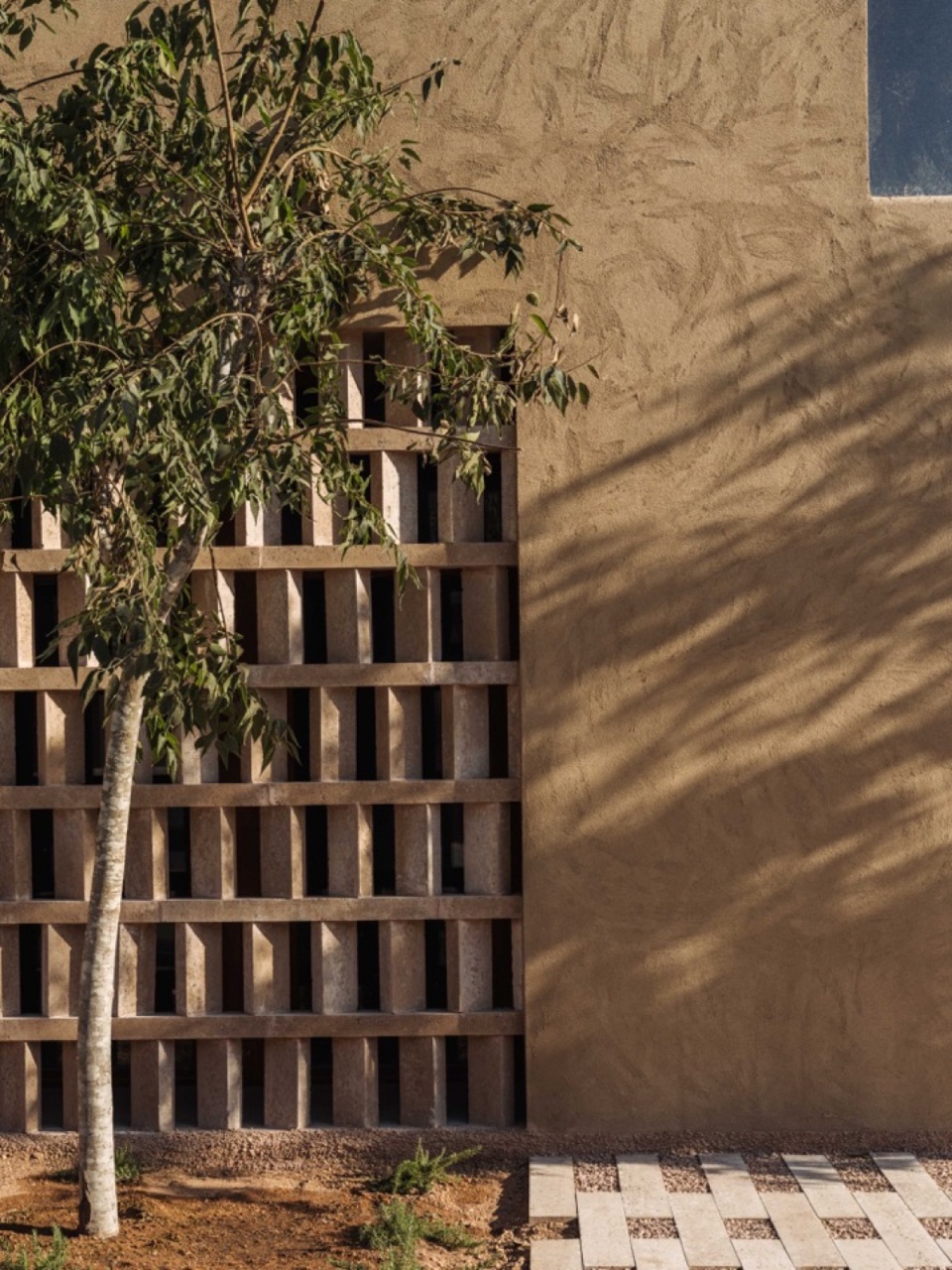 树木与透空格栅 / Trees and the perforated screen
