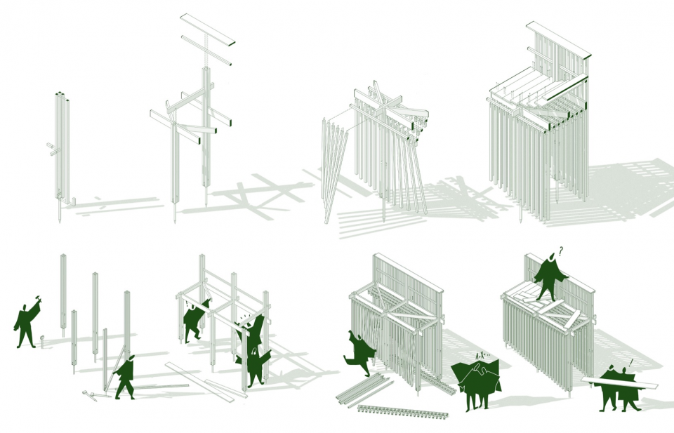 结构与组装分析 / Structure and assembly studies