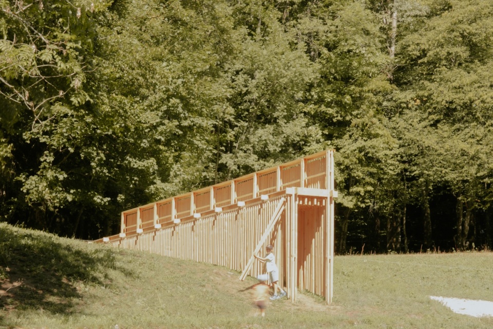 木构步道与树林 / Timber walkway and woodland