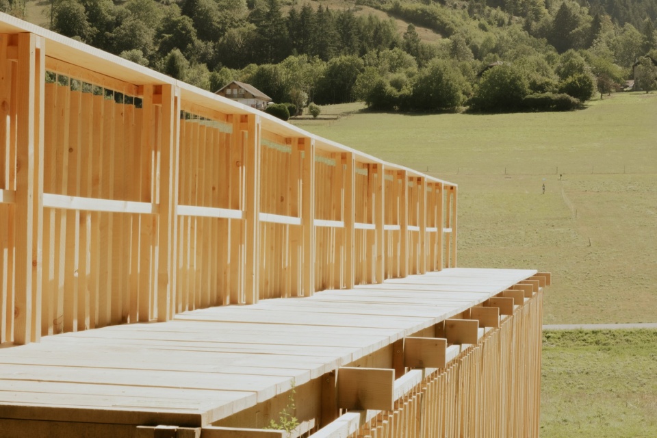 架空木步道 / Elevated timber walkway