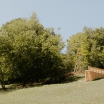木之声，法国 / Antoine Aunave、Flora Peyrot、Mathilde Steenhaut、Luc Loviton
