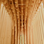 木之声，法国 / Antoine Aunave、Flora Peyrot、Mathilde Steenhaut、Luc Loviton