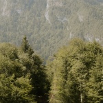 木之声，法国 / Antoine Aunave、Flora Peyrot、Mathilde Steenhaut、Luc Loviton