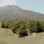木之声，法国 / Antoine Aunave、Flora Peyrot、Mathilde Steenhaut、Luc Loviton