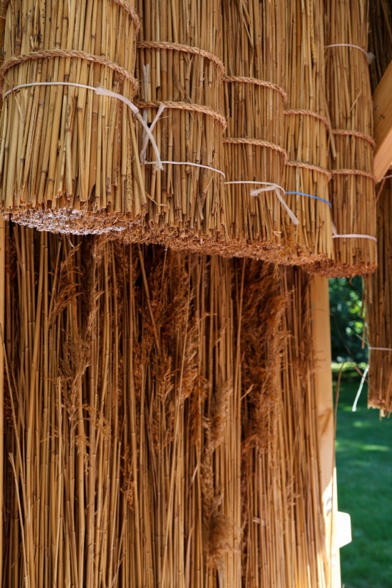 芦苇束细部 / Reed bundle detail