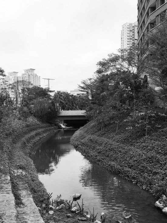 改造前不同位置河道现状,Existing Watercourse Conditions at Various Locations Before Renovation