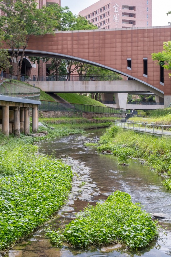 深中河涌,Bijia Shan River at Shenzhen Middle School