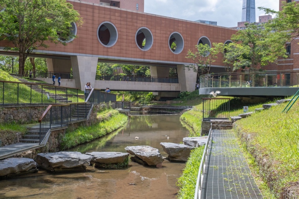 汀步结合高差跌水,Stepping Stones Integrated with Cascading Water Levels