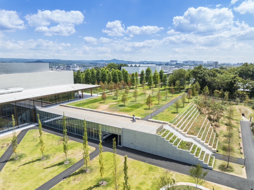 连接两个场馆的台地景观航拍 / aerial view of the terraced landscape linking the museums