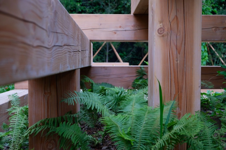 木构的搭接和留空 / Timber joints and openings