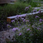 Urban Weaving, 2026 Seoul International Garden Show by NAP Studio