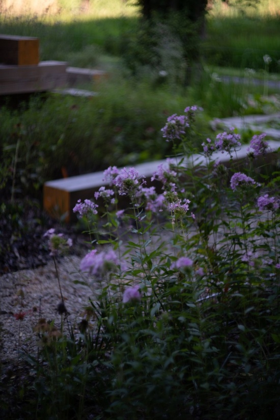 植物和木构呈现秩序与野趣的微妙平衡 / A balance between order and wildness