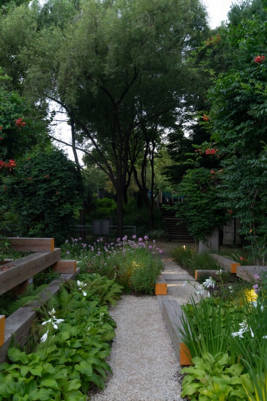 植物采用自然主义种植方式,整体松散而内含分区 / Naturalistic planting with subtle zones