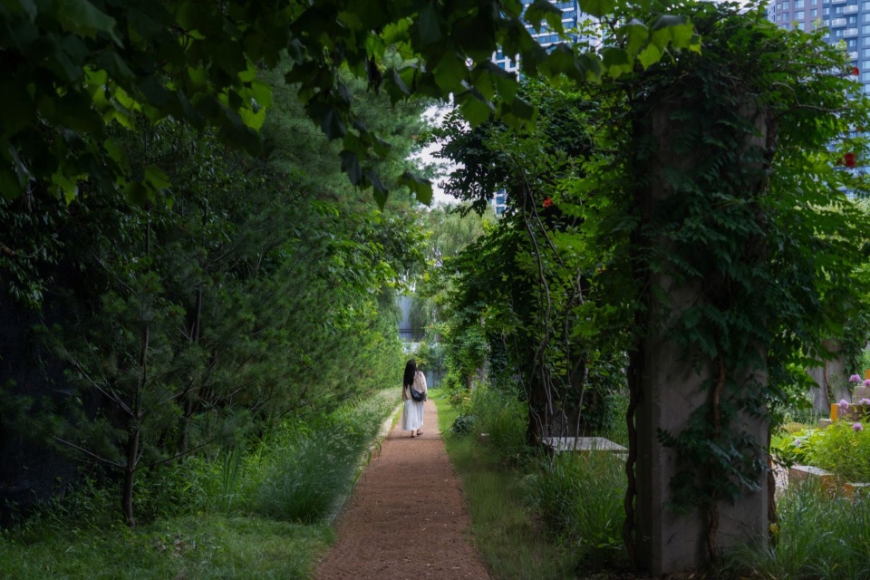 漫游于花园内外 / Wandering through and around the garden