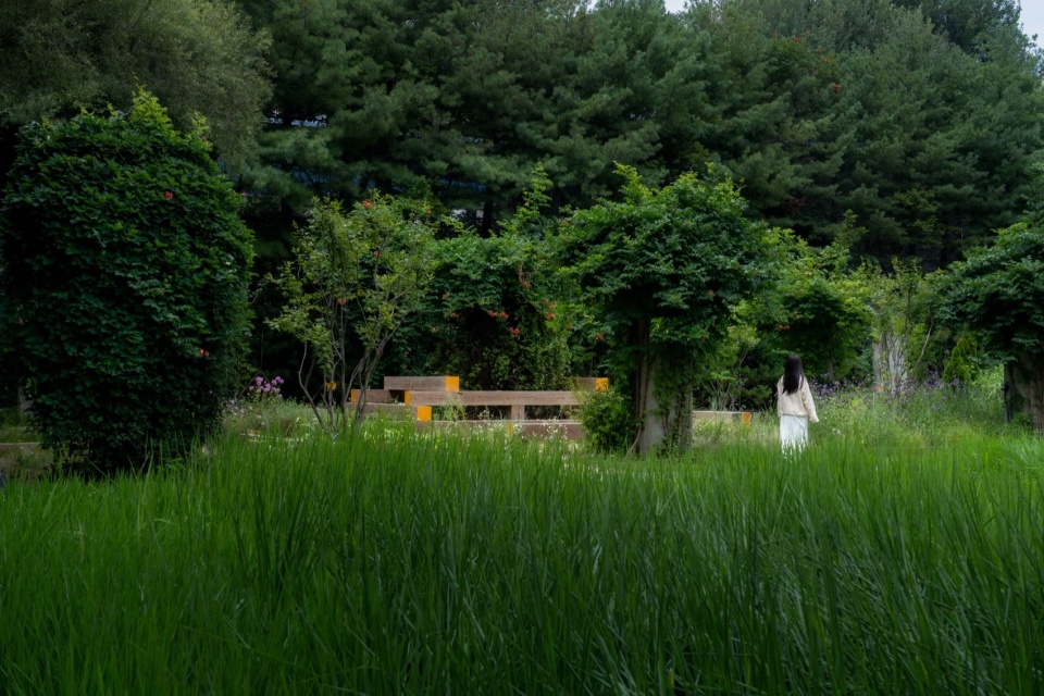 漫游于花园内外 / Wandering through and around the garden