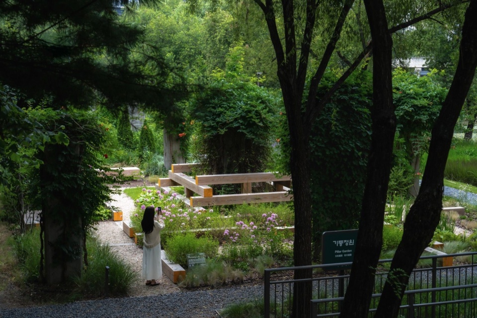 漫游于花园内外 / Wandering through and around the garden