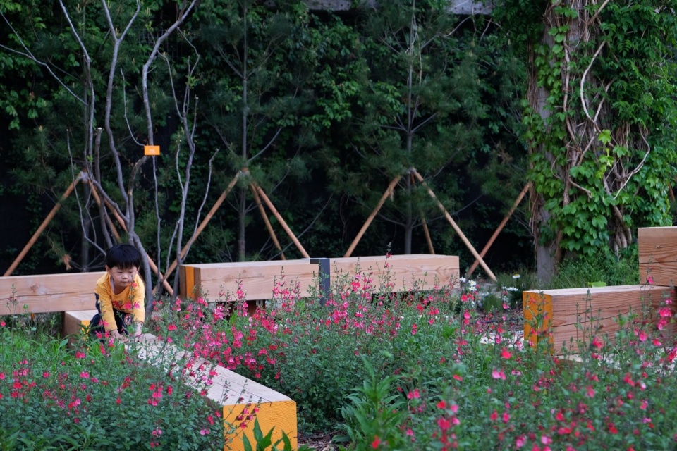 穿插的木梁鼓励来访的人去用身体感受花园 / Timber beams invite bodily exploration
