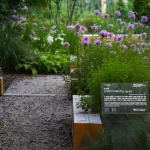 Urban Weaving, 2026 Seoul International Garden Show by NAP Studio