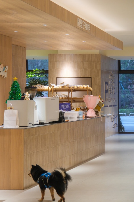 宠物咖啡馆 / Pet-friendly cafe