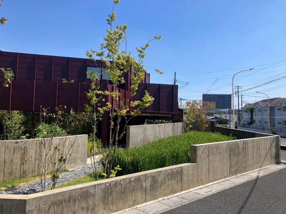 稻田与建筑 / Rice paddy and building