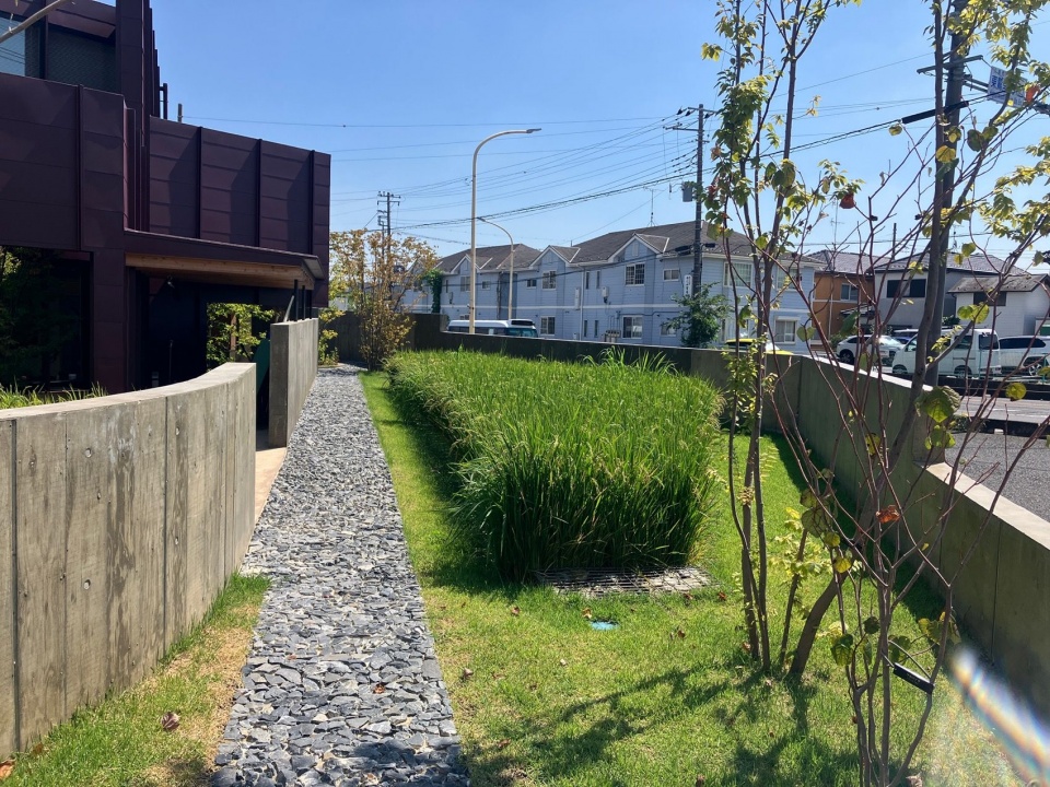 沿墙延伸的稻田 / Rice paddy along the wall