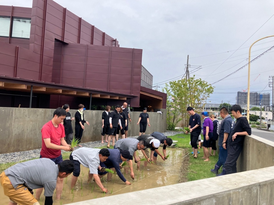 建筑前的共同插秧 / Planting rice together outside the building