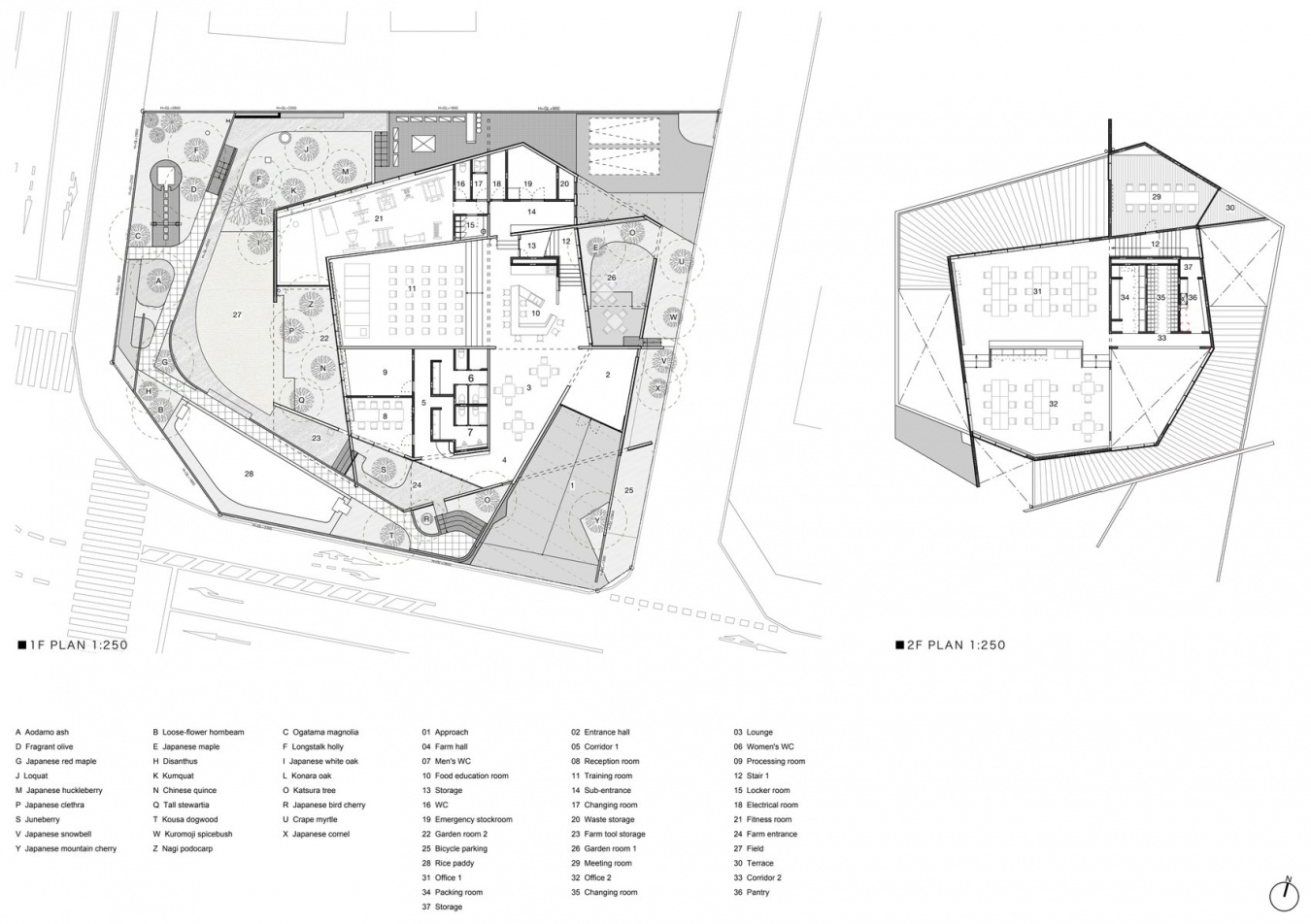 首层与二层平面图 / Ground and first floor plans